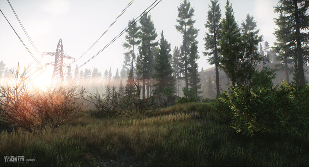 Shoreline map forest in Escape from Tarkov with sunrise and power lines.

