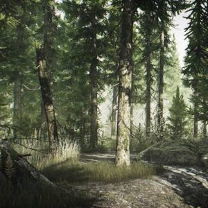 escape from tarkov woods map