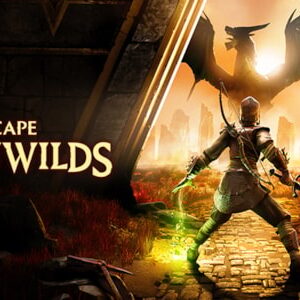 RuneScape Dragonwilds settings