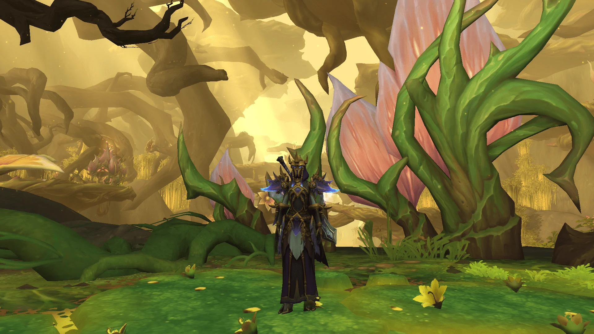 midnight tier sets
